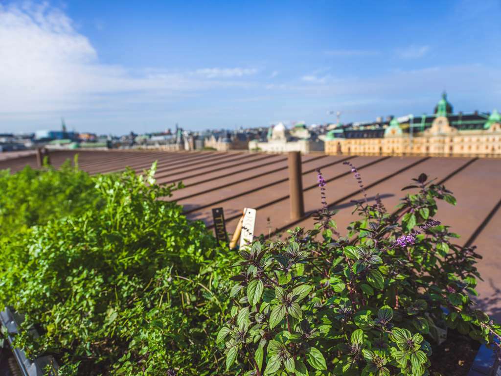 Radisson Collection, Strand Hotel, Stockholm Ngoại thất bức ảnh Rooftop garden